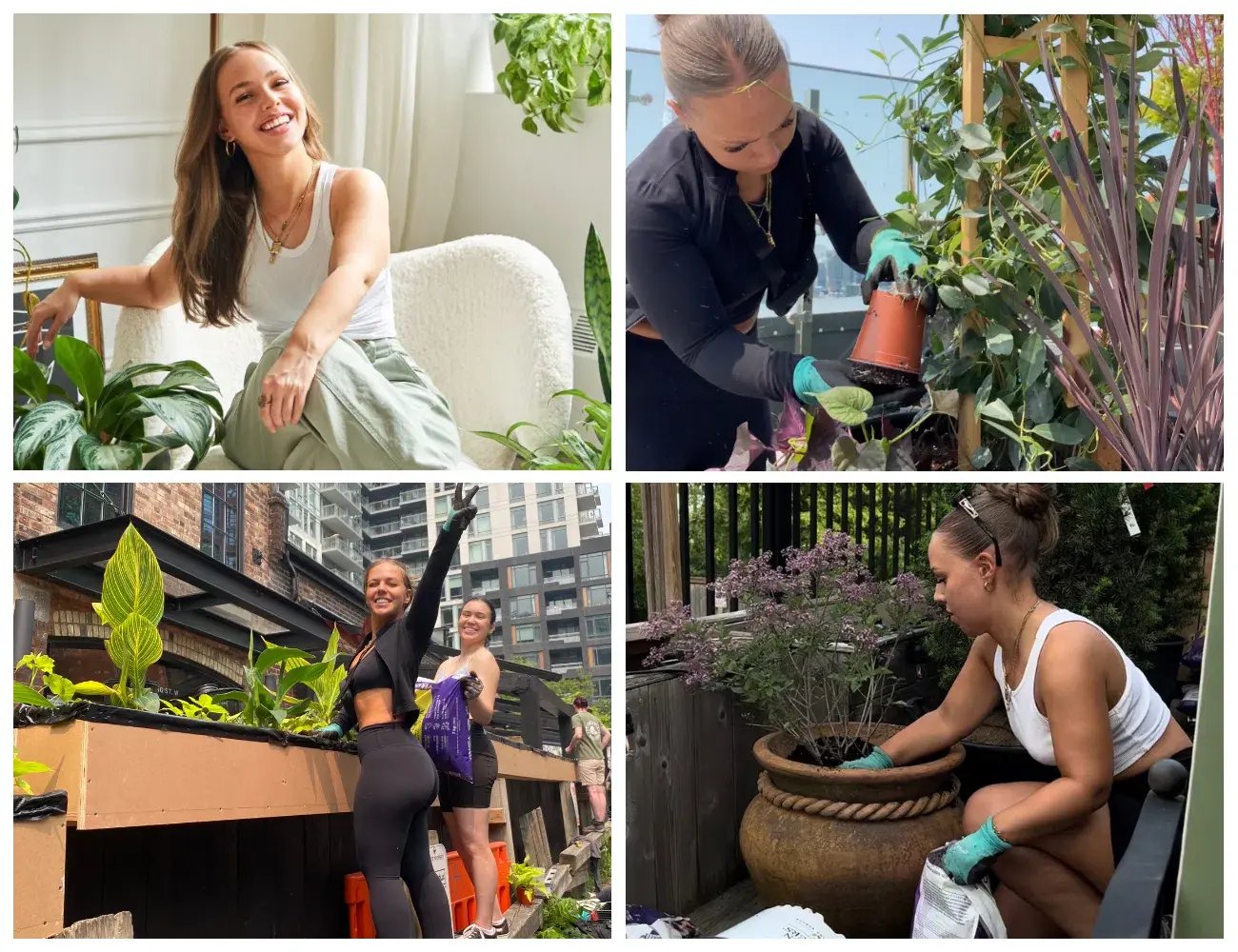 Quatre images de Julia, alias Toronto Plant Girl